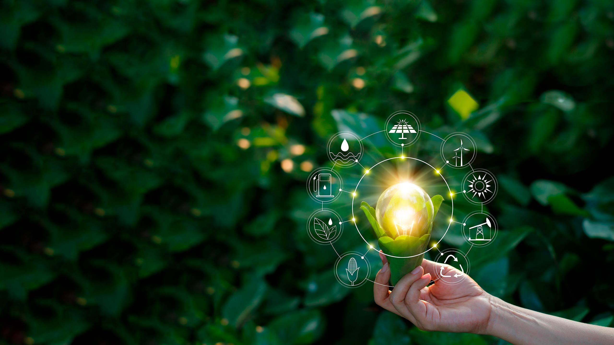 Tecnologia Bio Tech